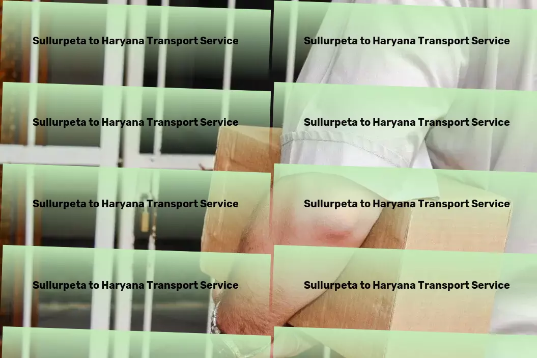 Sullurpeta to Haryana Transport Package delivery