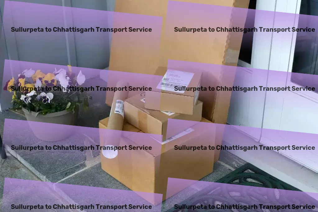 Sullurpeta to Chhattisgarh Transport Custom goods shipment services