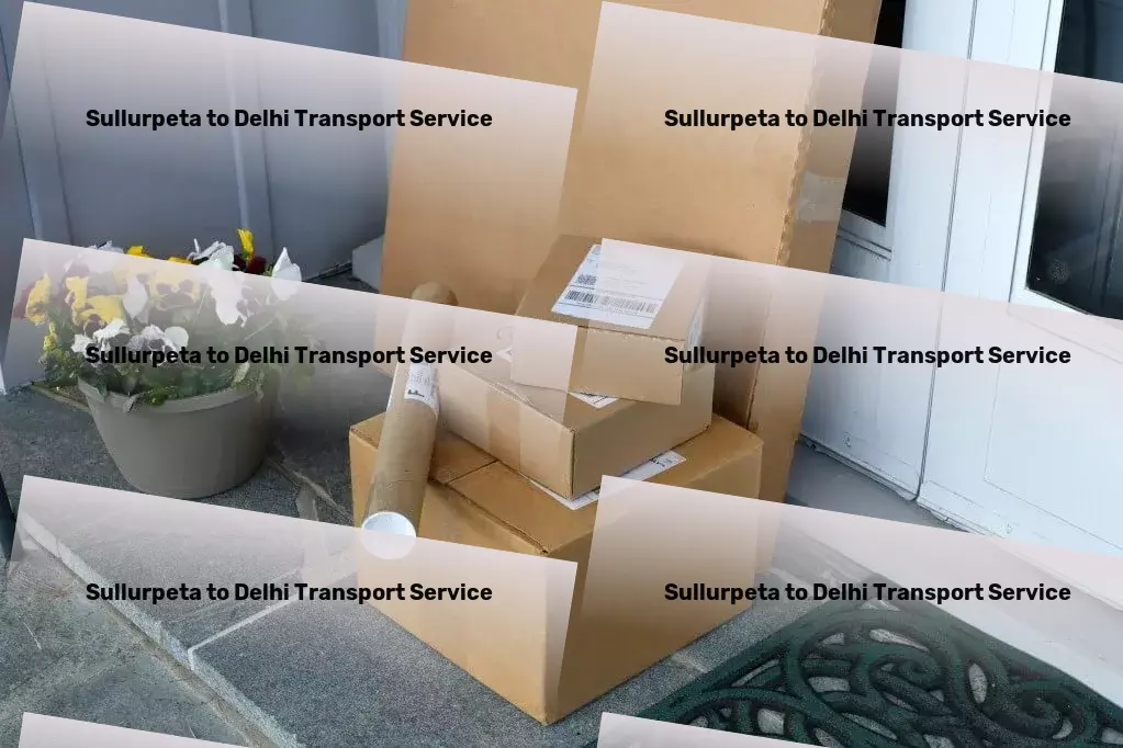 Sullurpeta to Delhi Transport Professional package services