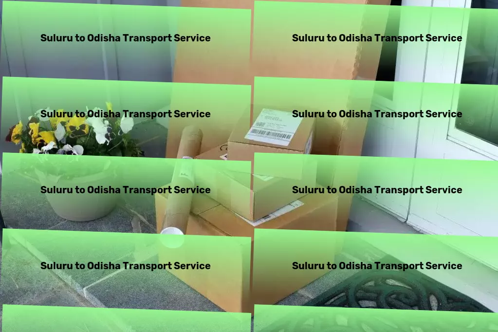 Suluru to Odisha Transport Fast transport solutions