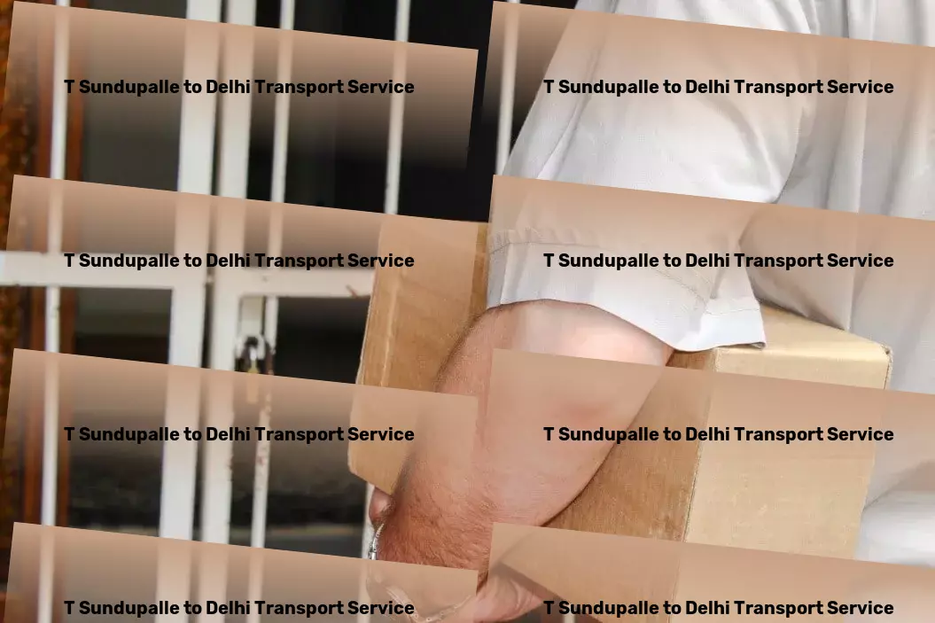 T Sundupalle to Delhi Transport Conquer city distances like a pro! - Advanced goods forwarding