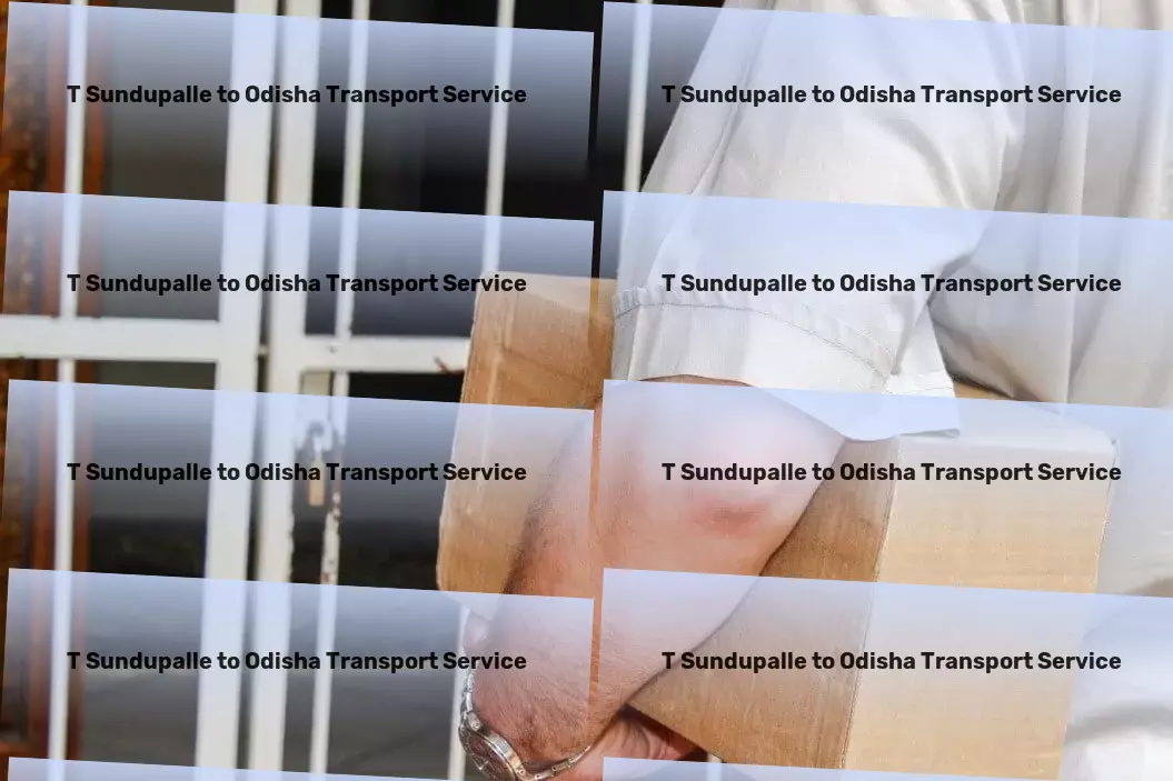 T Sundupalle to Odisha Transport Efficient package services