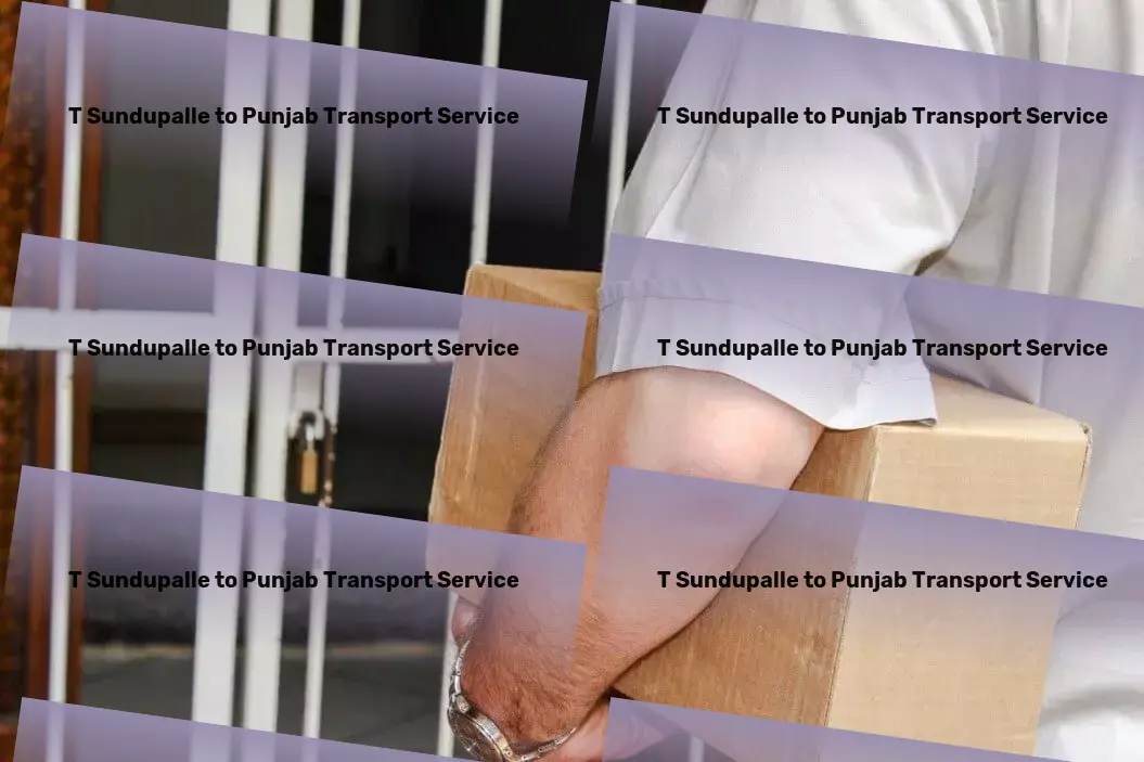 T Sundupalle to Punjab Transport National freight dispatch services