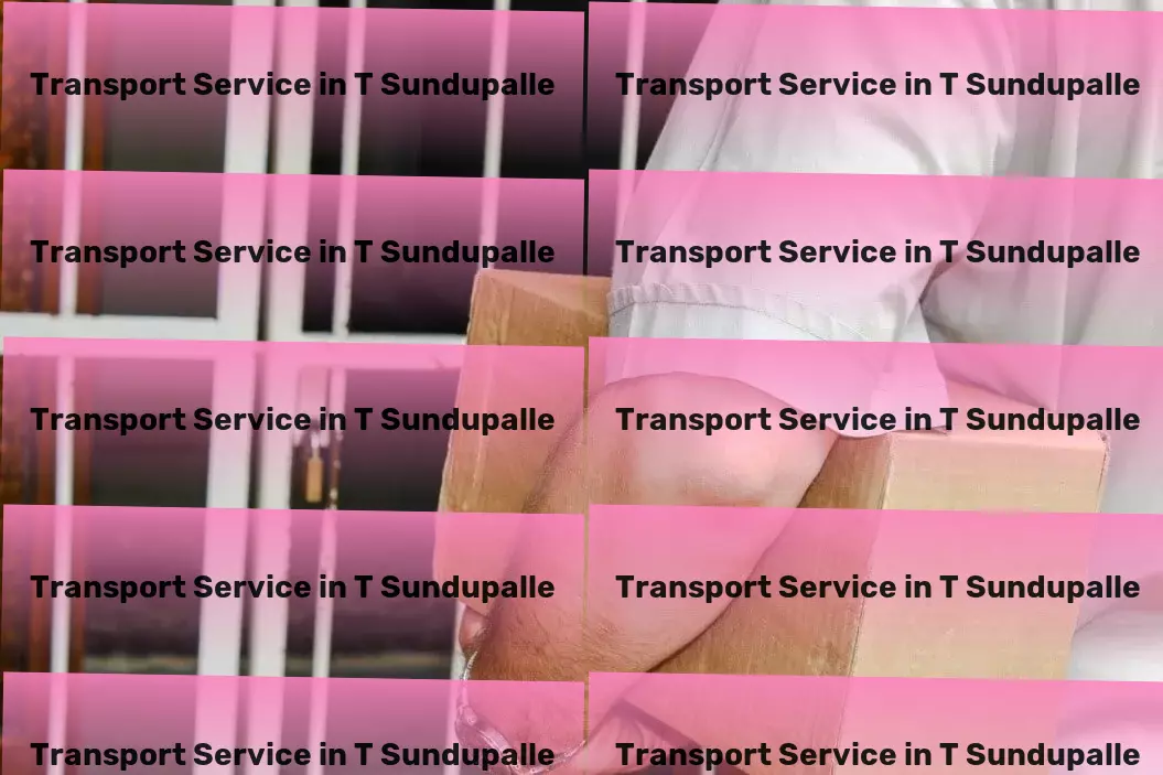 Household Goods Transport in T Sundupalle, Andhra Pradesh (AP) Trucking service solutions