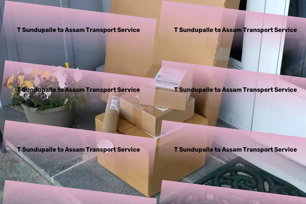 T Sundupalle to Assam Transport Personalized goods shipment