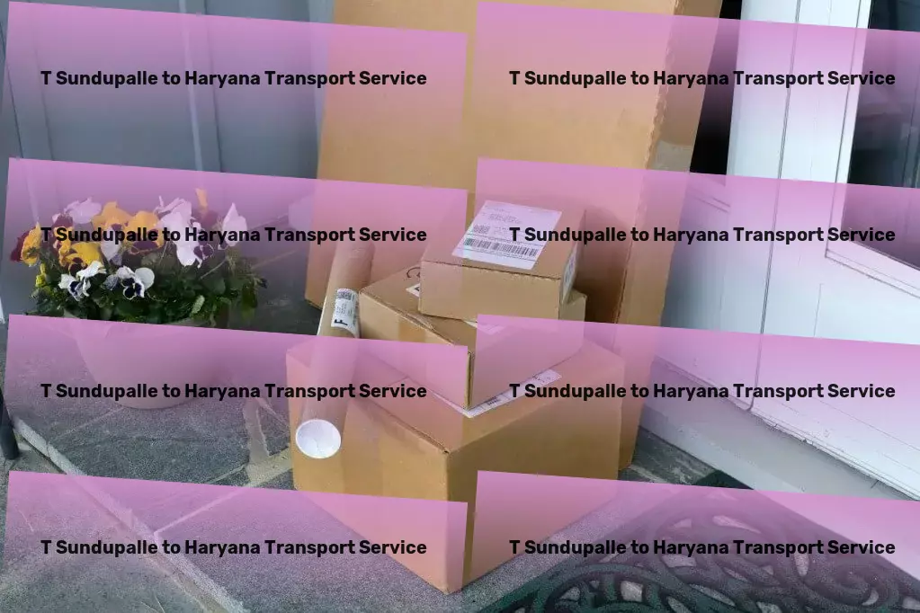 T Sundupalle to Haryana Transport Multi-regional transport operations