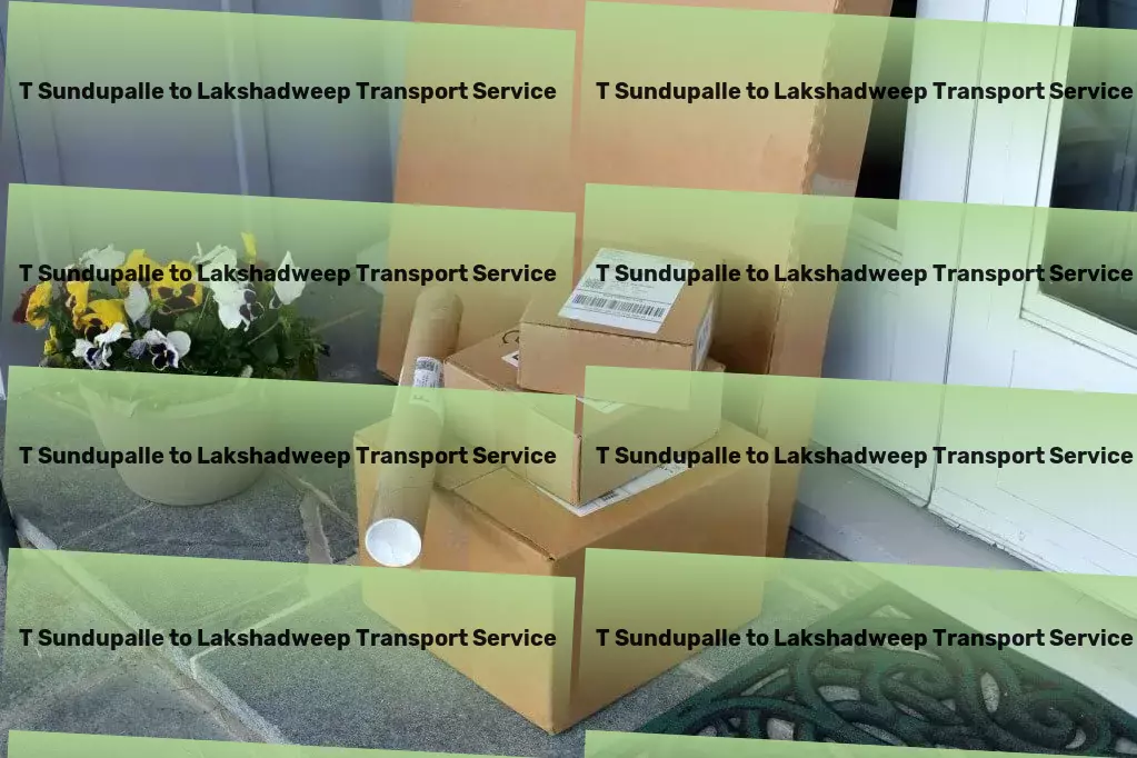 T Sundupalle to Lakshadweep Transport Innovation driving the future of transport across India！ - Bulk goods shipping