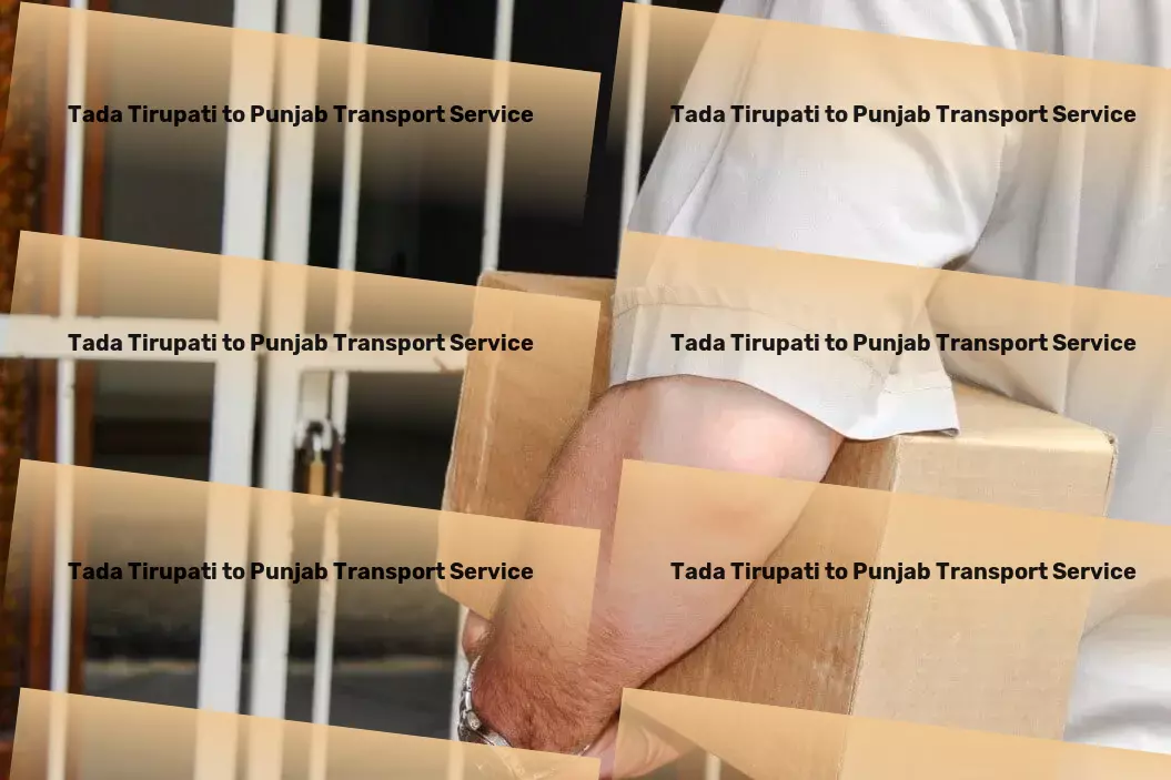 Tada Tirupati to Punjab Transport Specialized package shipment