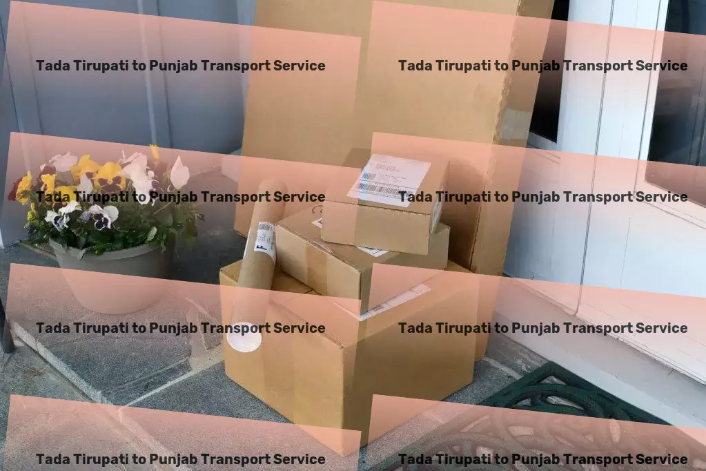 Tada Tirupati to Punjab Transport Quick parcel shipment solutions