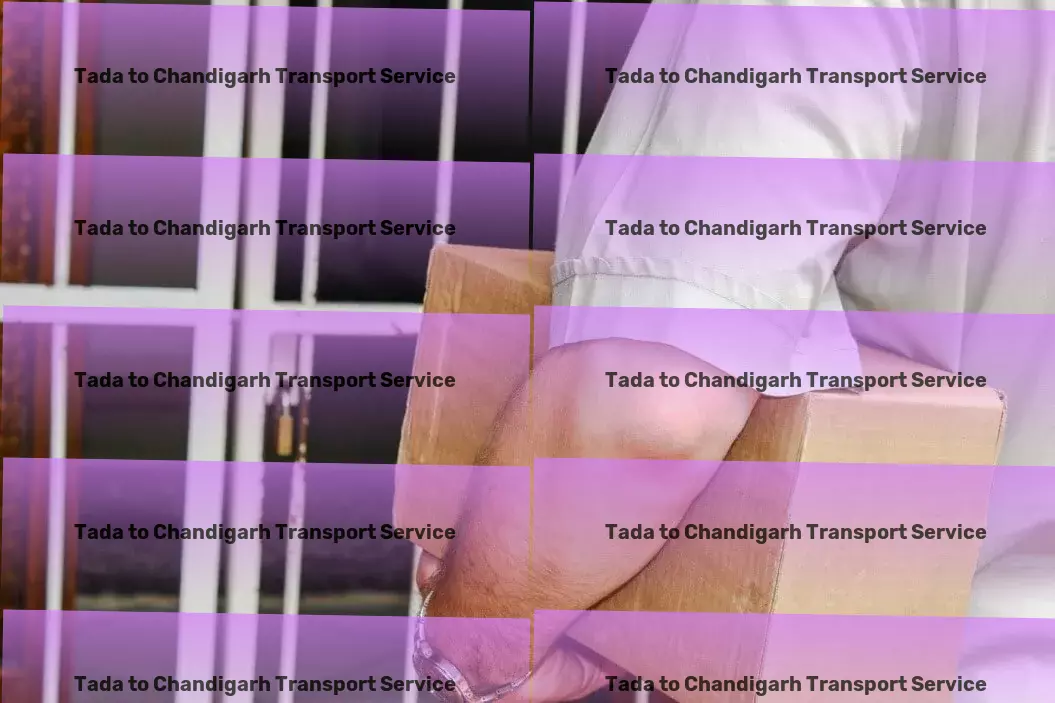 Tada to Chandigarh Transport Achieve flawless makeup looks with innovative beauty tools. - Advanced package delivery