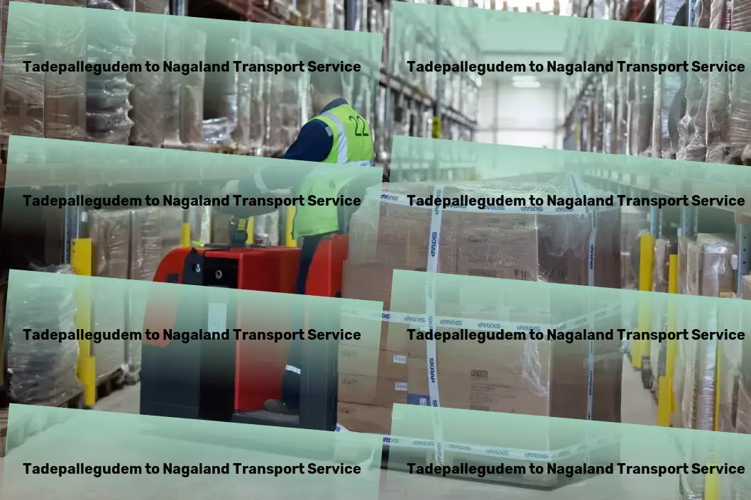 Tadepallegudem to Nagaland Transport Nationwide moving operations