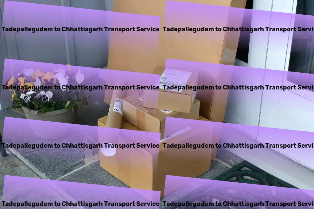 Tadepallegudem to Chhattisgarh Transport Customized freight logistics