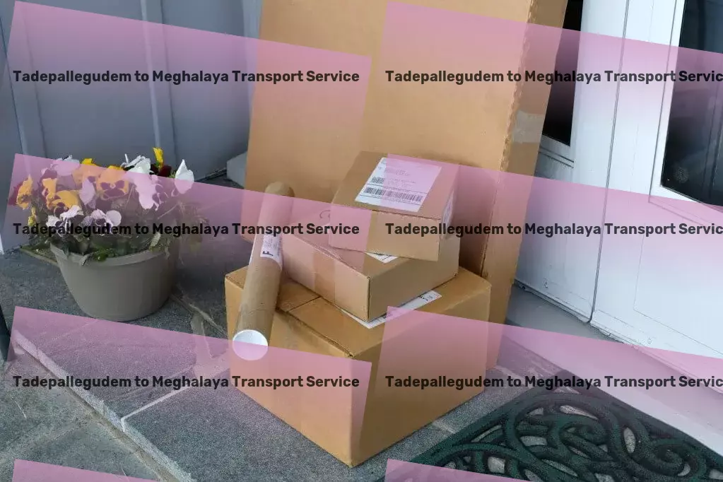 Tadepallegudem to Meghalaya Transport Revamp how you move within the urban environment! - Delivery service provider