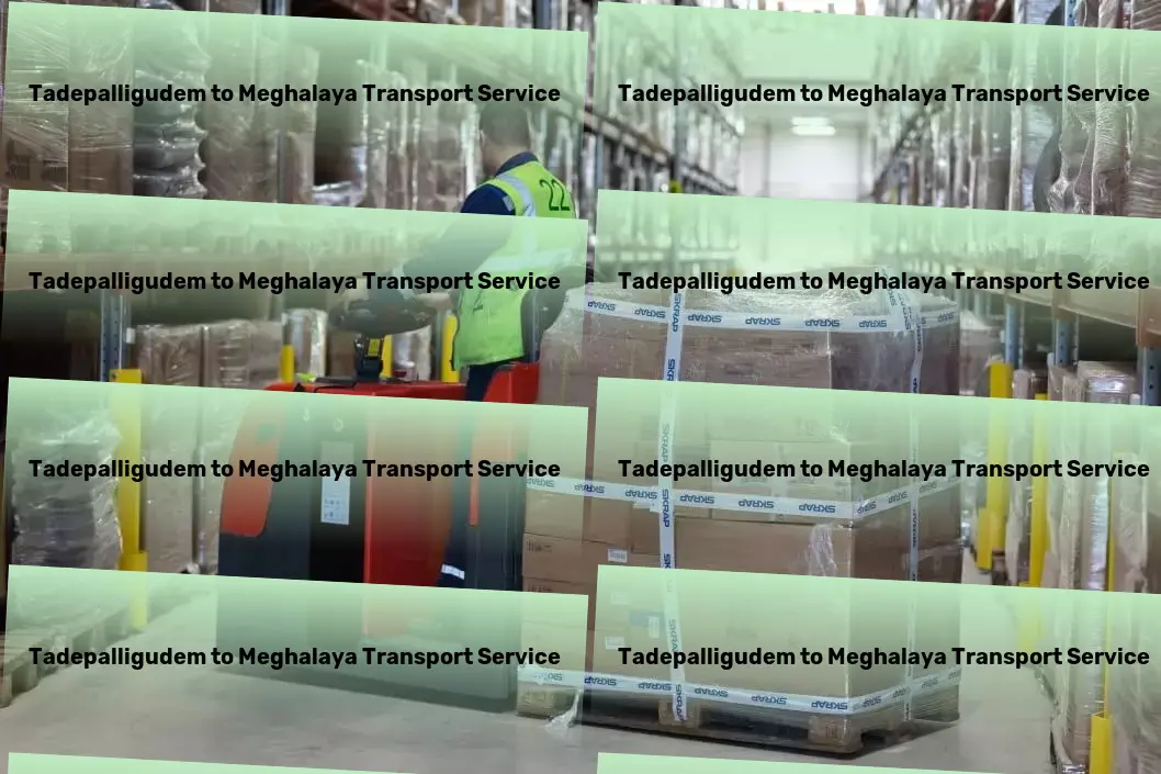 Tadepalligudem to Meghalaya Transport Furniture moving solutions