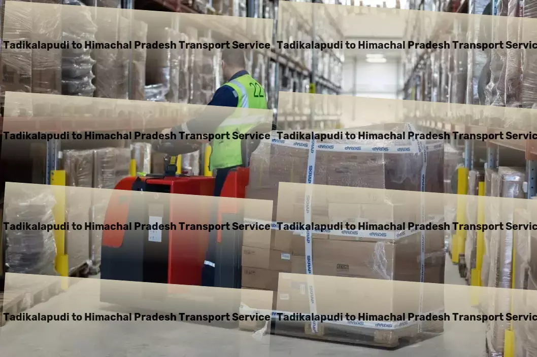 Tadikalapudi to Himachal Pradesh Transport Regular cargo transport