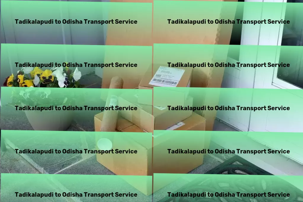 Tadikalapudi to Odisha Transport Easing the burden of transportation in India. - Regional packers and movers