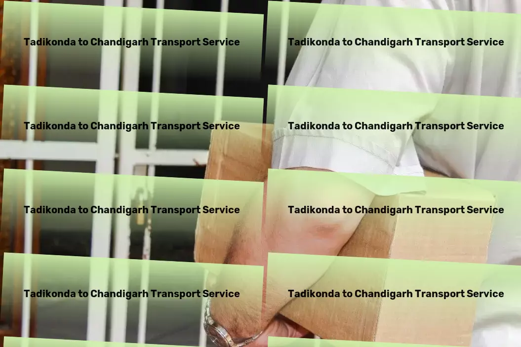 Tadikonda to Chandigarh Transport National furniture transport