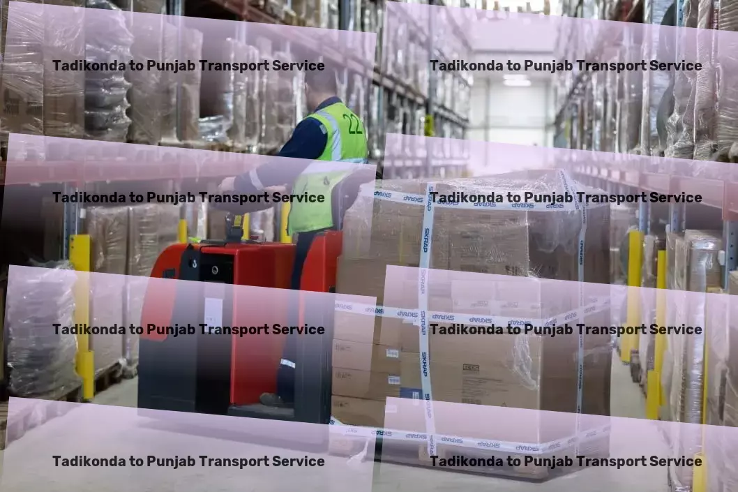 Tadikonda to Punjab Transport Efficient moving services