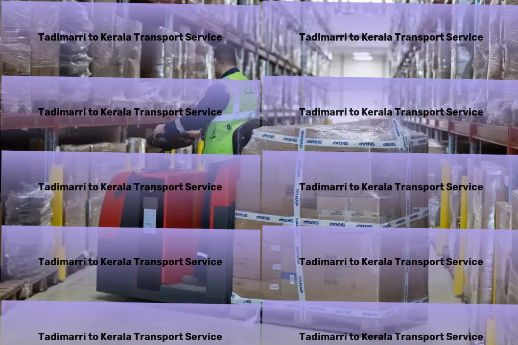 Tadimarri to Kerala Transport Nationwide transport and logistics