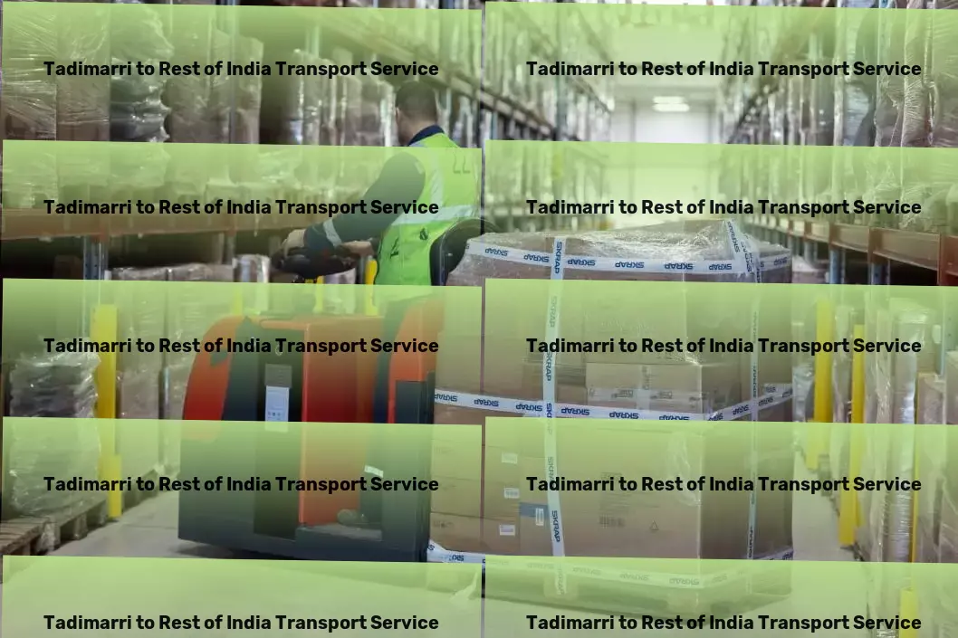 Tadimarri to Rest Of India Transport Express goods transport