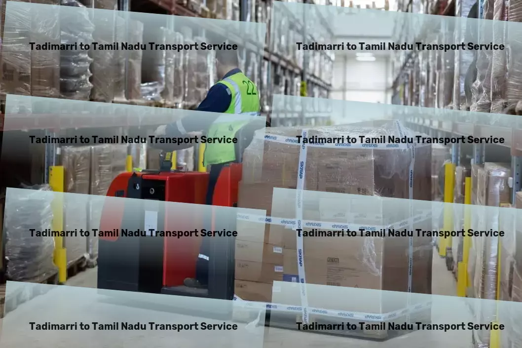 Tadimarri to Tamil Nadu Transport Nationwide moving and logistics