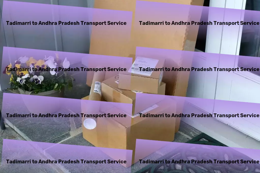 Tadimarri to Andhra Pradesh Transport National furniture transport