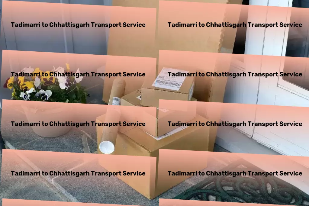 Tadimarri to Chhattisgarh Transport Special cargo delivery