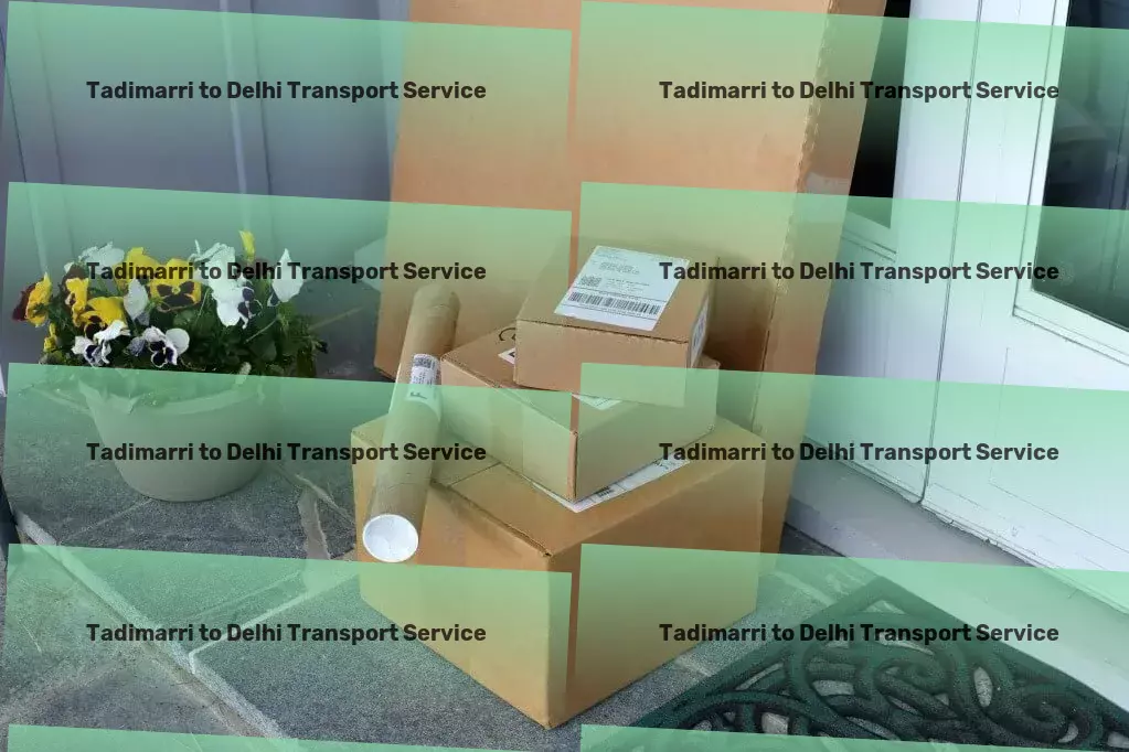 Tadimarri to Delhi Transport Expedited delivery services