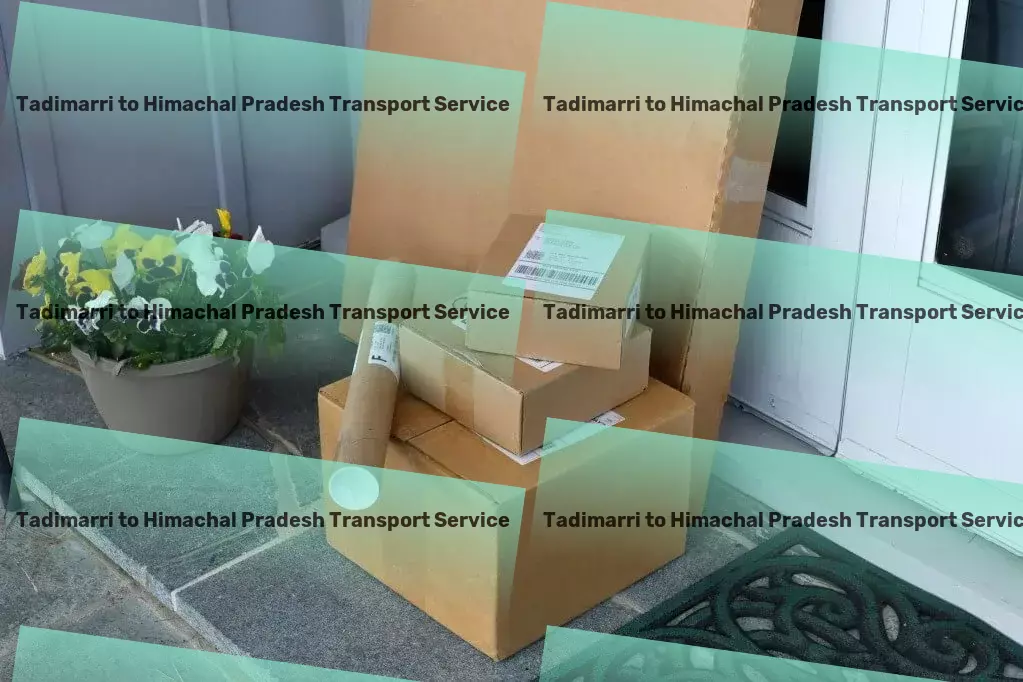 Tadimarri to Himachal Pradesh Transport Multi-city shipping solutions