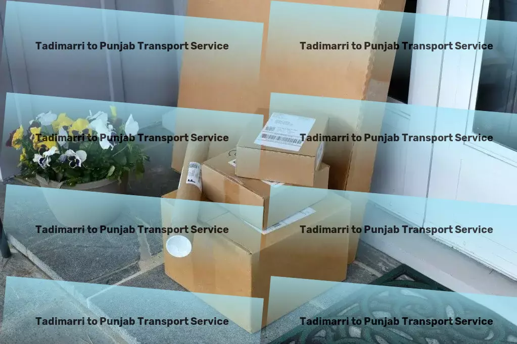 Tadimarri to Punjab Transport Professional goods logistics