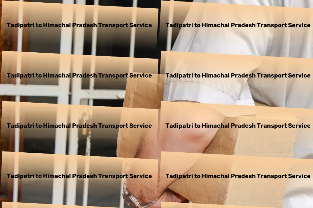 Tadipatri to Himachal Pradesh Transport Designed for the dynamic city dweller! - Efficient cargo transport services