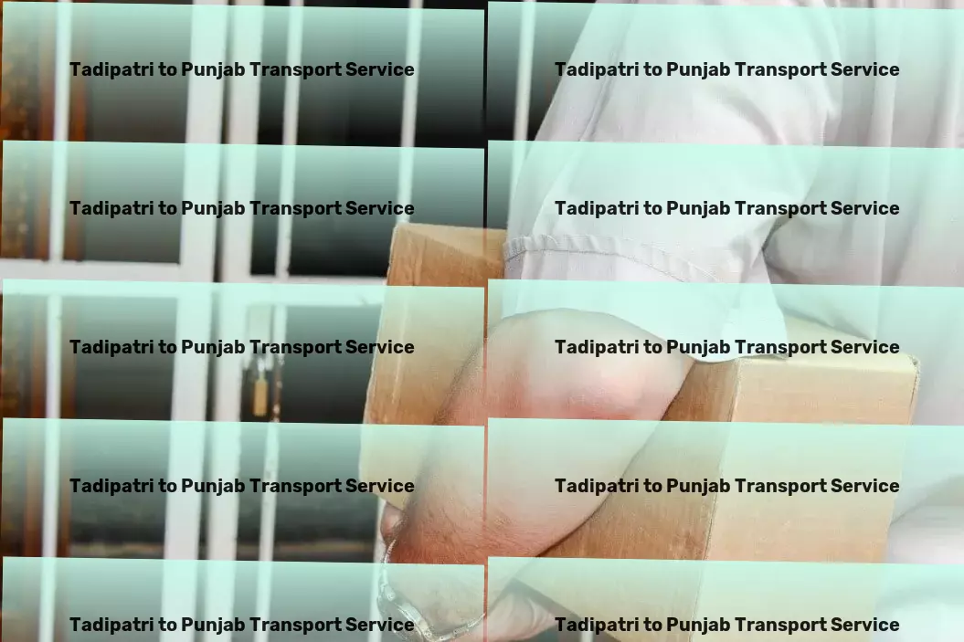 Tadipatri to Punjab Transport Inter-regional trucking services