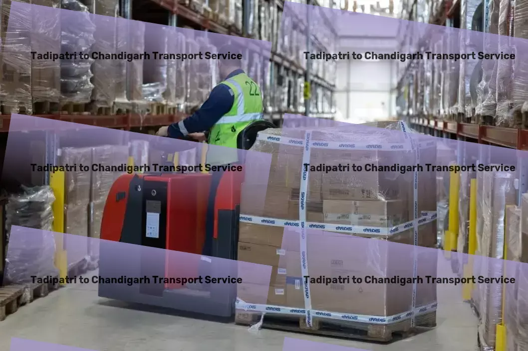 Tadipatri to Chandigarh Transport Express cargo forwarding