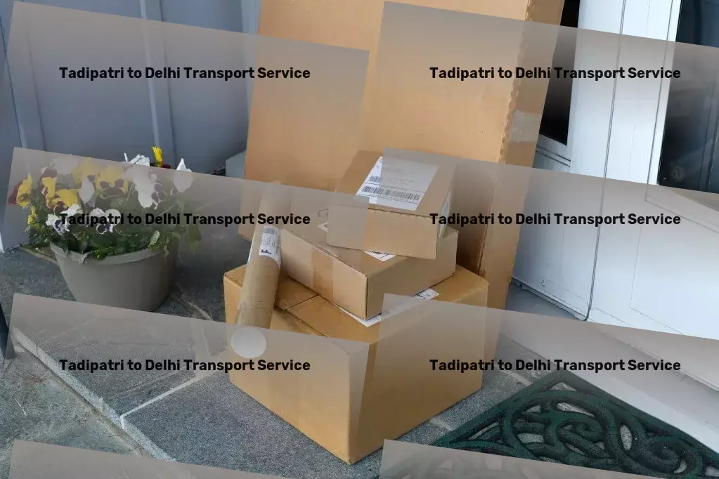 Tadipatri to Delhi Transport Professional logistics services