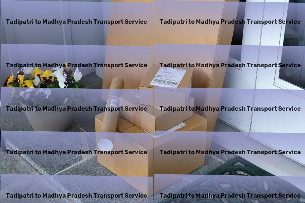 Tadipatri to Madhya Pradesh Transport High-speed parcel delivery