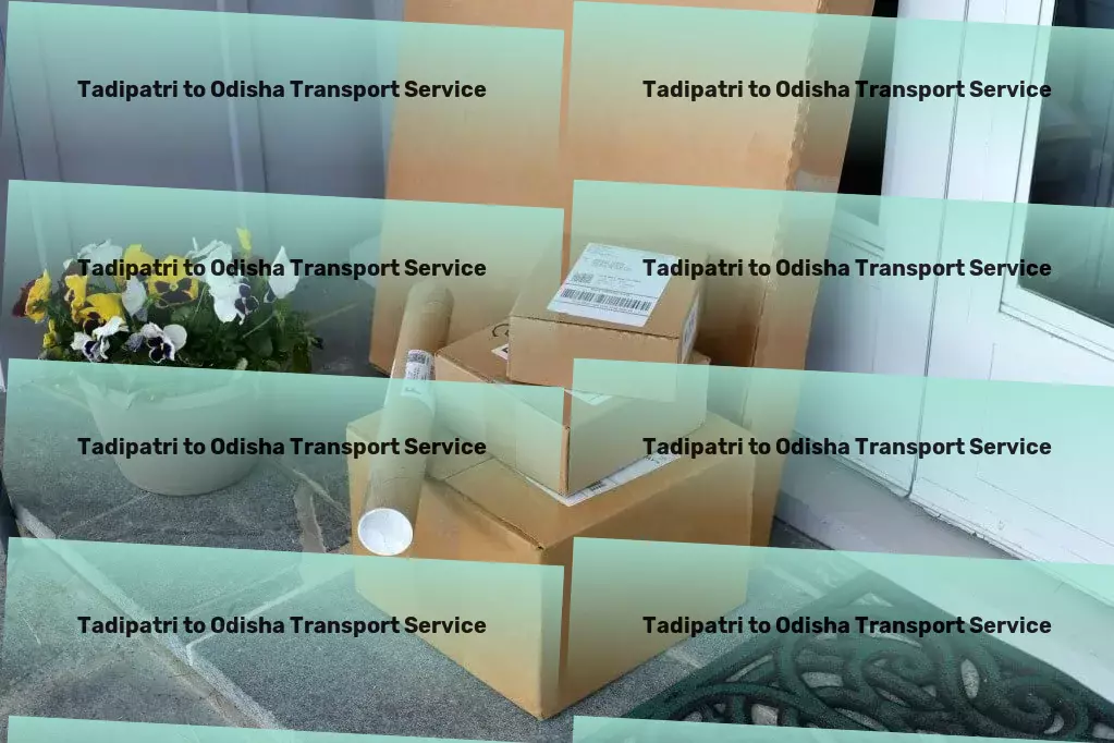 Tadipatri to Odisha Transport National courier solutions