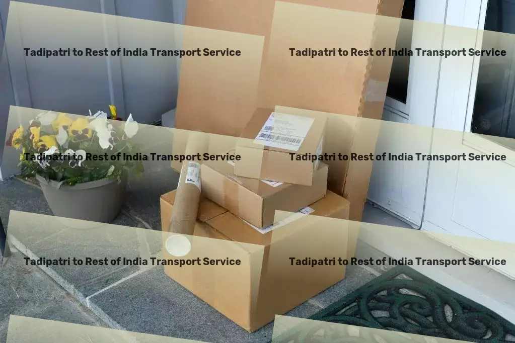 Tadipatri to Rest Of India Transport Nationwide logistics operations