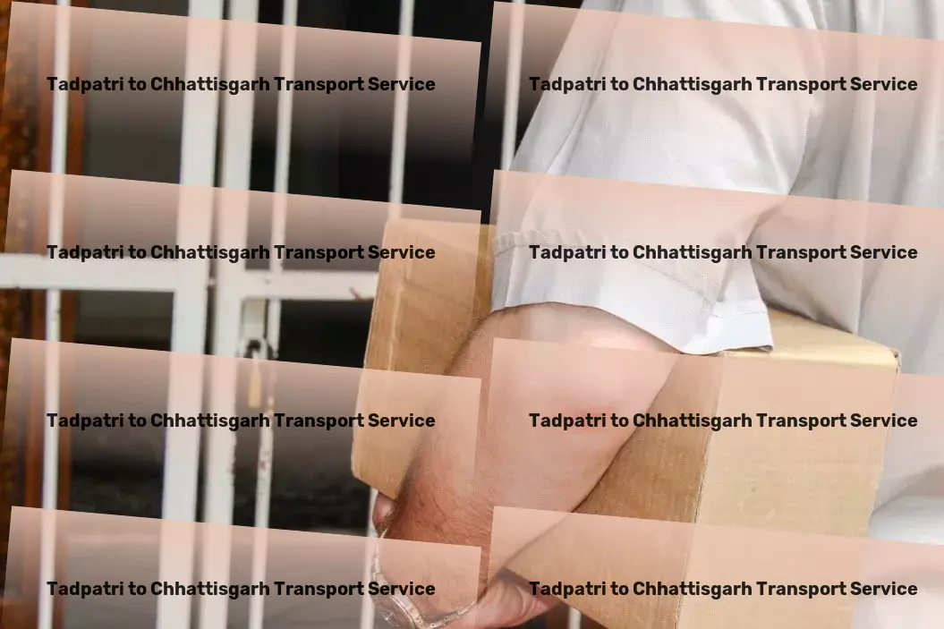 Tadpatri to Chhattisgarh Transport Packers and Movers