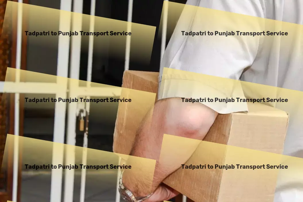 Tadpatri to Punjab Transport Breakthrough solutions for modern Indian goods transportation! - Digital logistics management