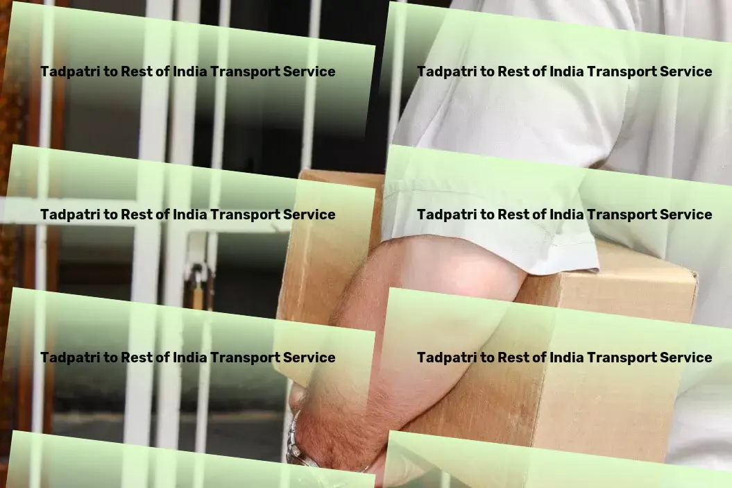 Tadpatri to Rest Of India Transport The reliable choice for transporting goods nationwide in India! - International freight carriers