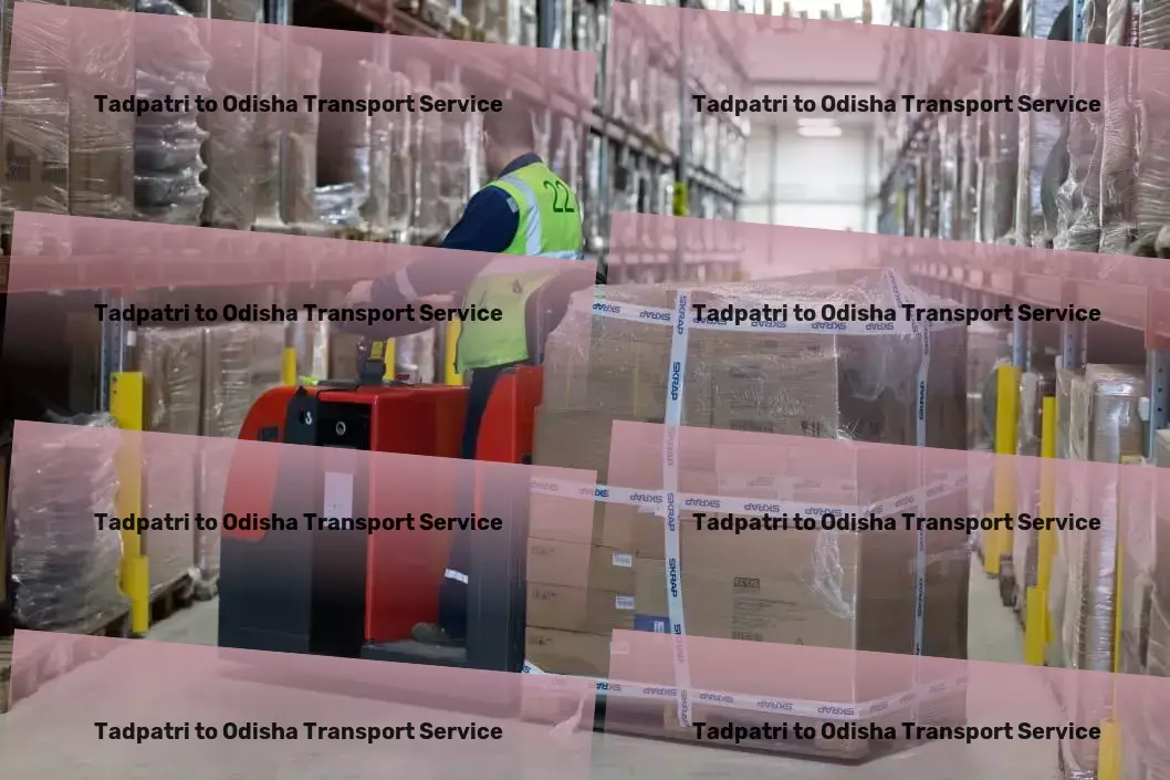 Tadpatri to Odisha Transport Your partner in overcoming urban transit challenges! - Professional moving and shipment