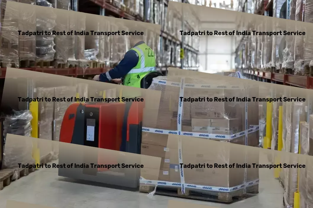 Tadpatri to Rest Of India Transport India's premier solution for all transport and logistics needs. - High-speed courier services