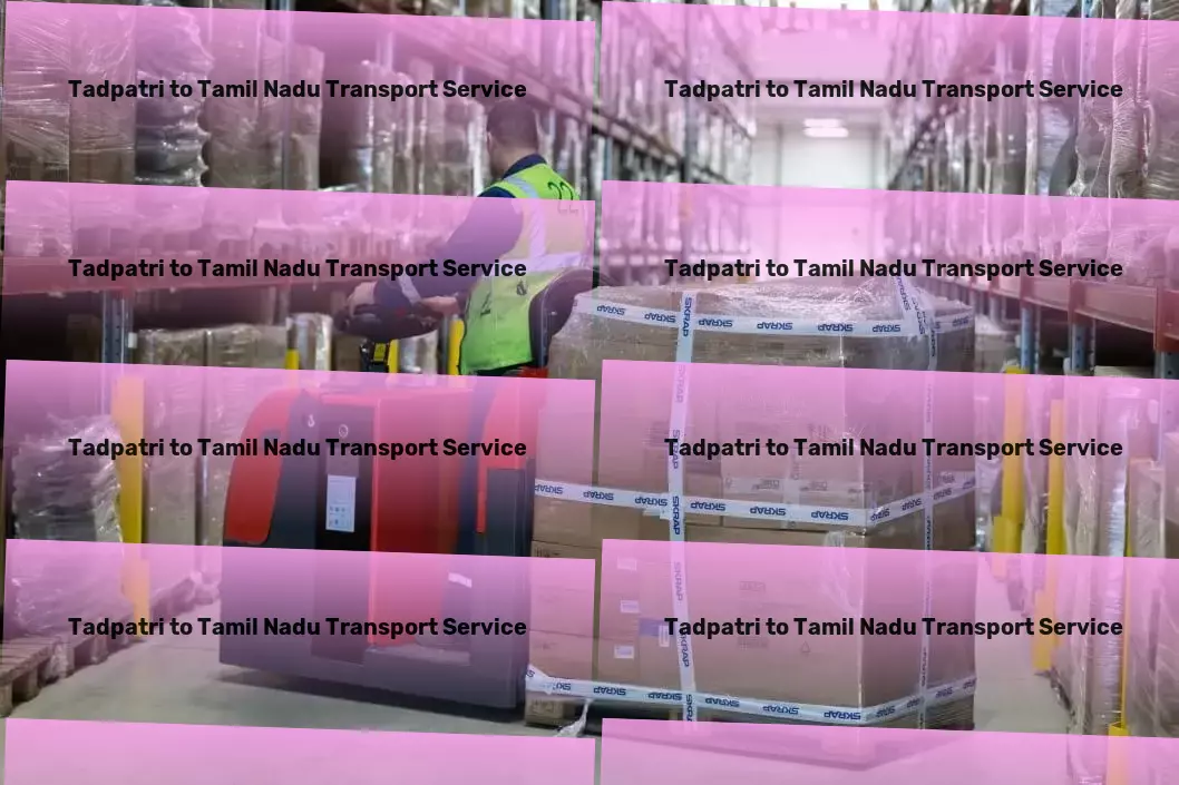 Tadpatri to Tamil Nadu Transport Express furniture relocation