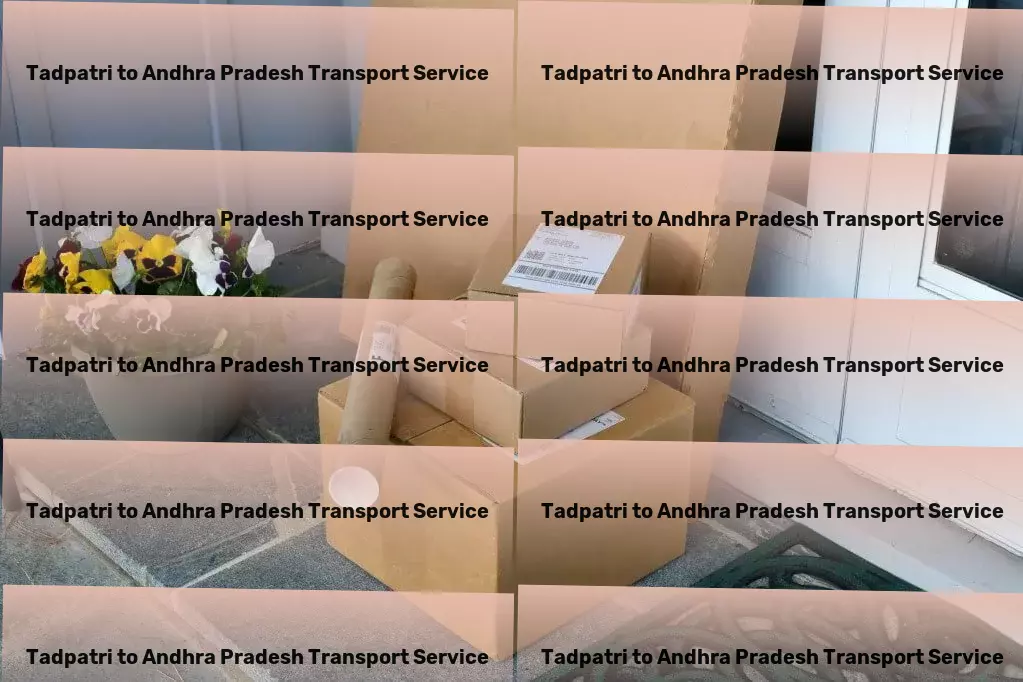 Tadpatri to Andhra Pradesh Transport Rapid shipping services