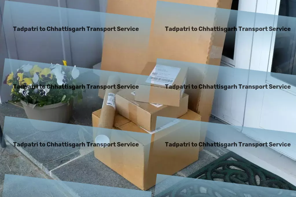 Tadpatri to Chhattisgarh Transport Regional packers and movers