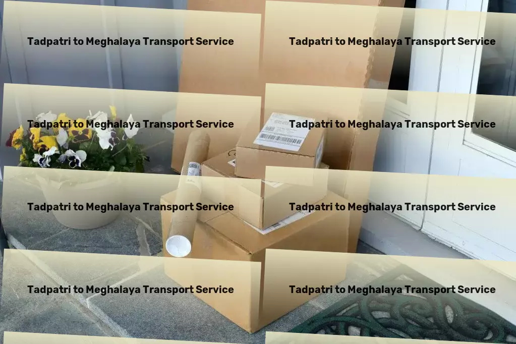 Tadpatri to Meghalaya Transport Leading innovation in transport logistics across India! - Heavy load shipping services