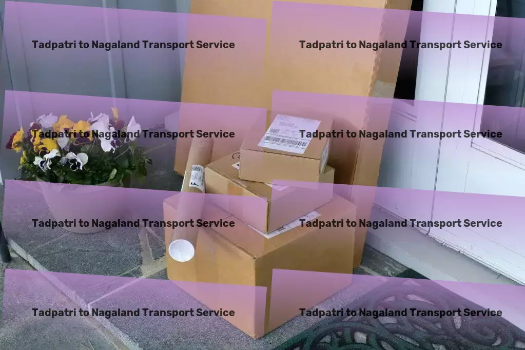 Tadpatri to Nagaland Transport Specialized parcel delivery