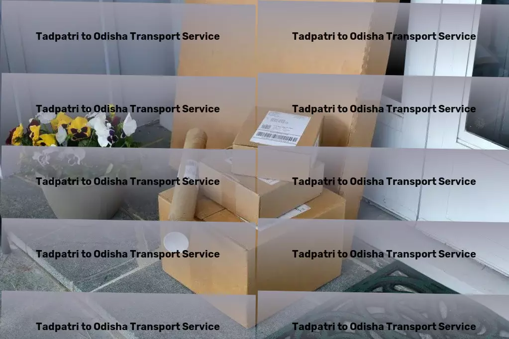 Tadpatri to Odisha Transport Cargo insurance services