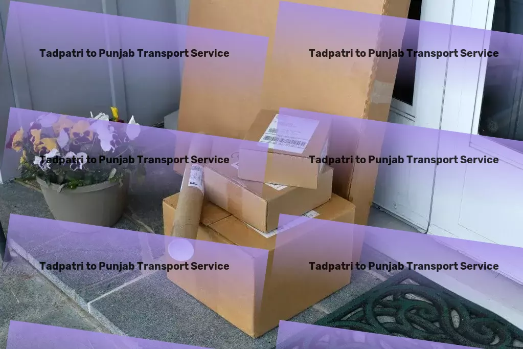 Tadpatri to Punjab Transport Direct bulk shipment