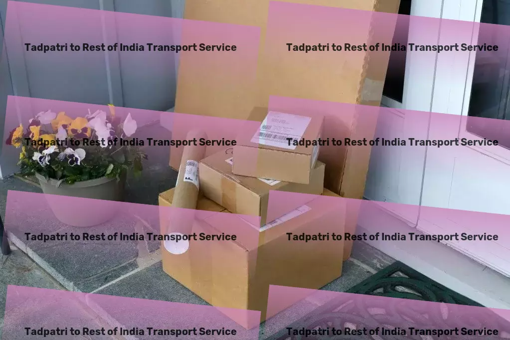 Tadpatri to Rest Of India Transport Container transport services